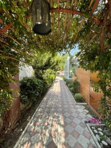 WhatsApp Image 2025-05-28 at 13.10.43 (2)