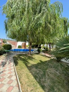 WhatsApp Image 2025-05-28 at 13.10.44 (2)