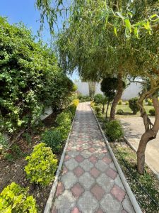 WhatsApp Image 2025-05-28 at 13.10.45 (1)