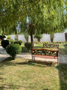 WhatsApp Image 2025-05-28 at 13.10.45